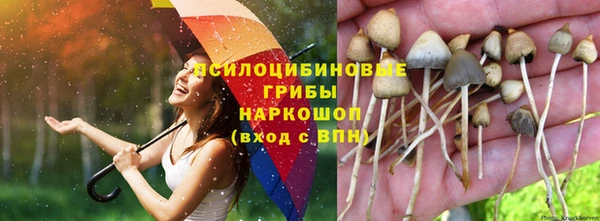 кристаллы Арсеньев