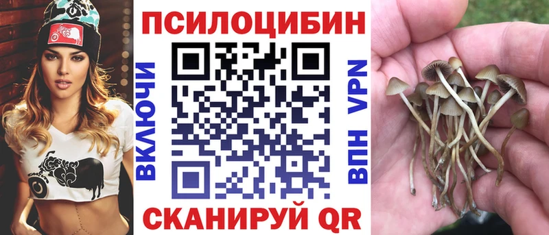 Галлюциногенные грибы MAGIC MUSHROOMS  гидра ССЫЛКА  Сясьстрой 